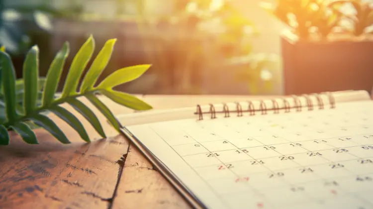 How Many Public Holidays In 2024 Articles Factory